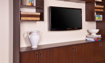 entertainment-center-crop1