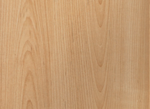 Maple