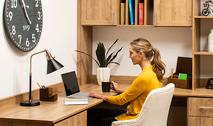 Custom Home Office Design Shelving