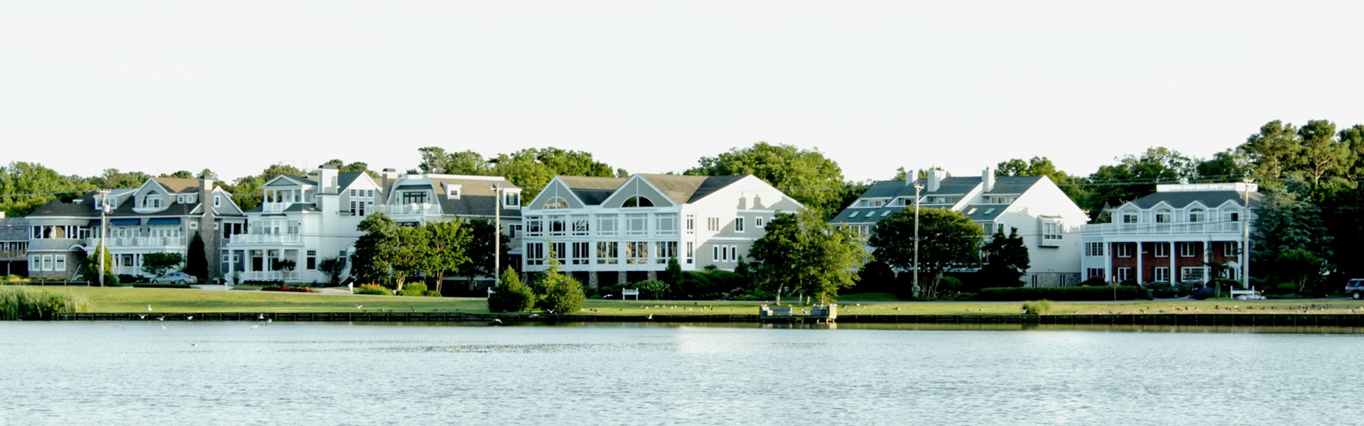 Delaware services banner